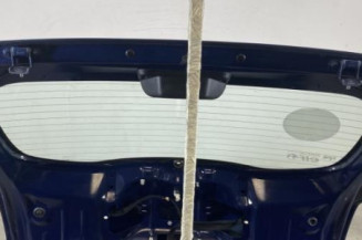 Malle/Hayon arriere DACIA SANDERO 2