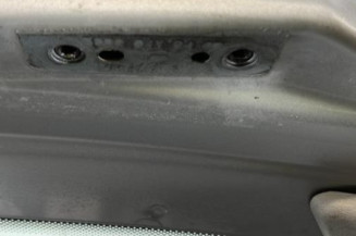 Malle/Hayon arriere PEUGEOT 207