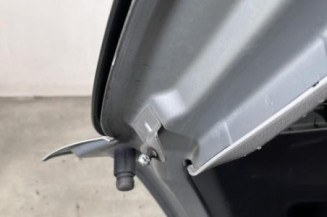 Malle/Hayon arriere PEUGEOT 207