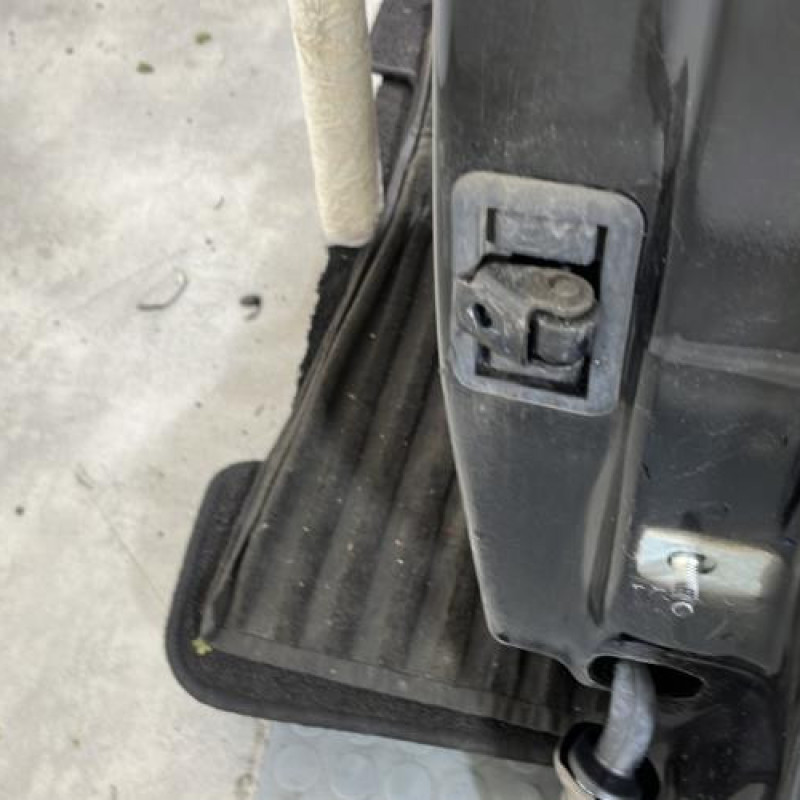 Porte arriere gauche RENAULT TWINGO 3 Photo n°2