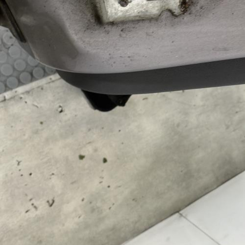 Porte arriere droit RENAULT CLIO 3 Photo n°4