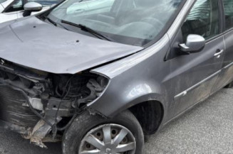 Porte arriere droit RENAULT CLIO 3