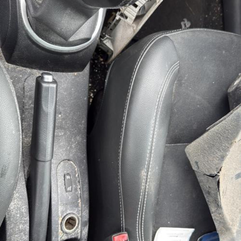 Porte arriere droit RENAULT CLIO 3 Photo n°20