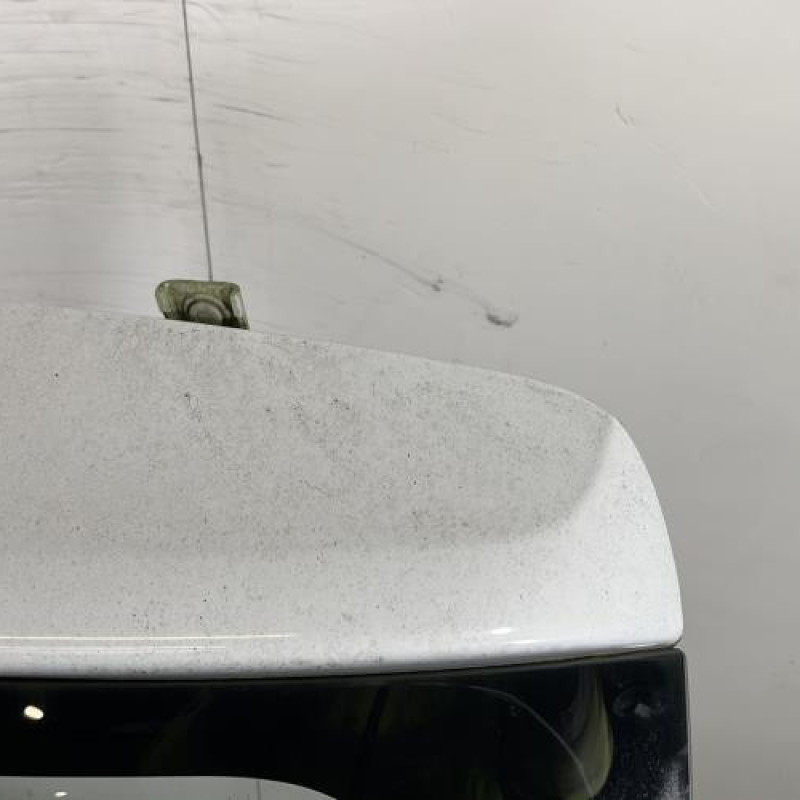 Malle/Hayon arriere DACIA SANDERO 2 Photo n°3