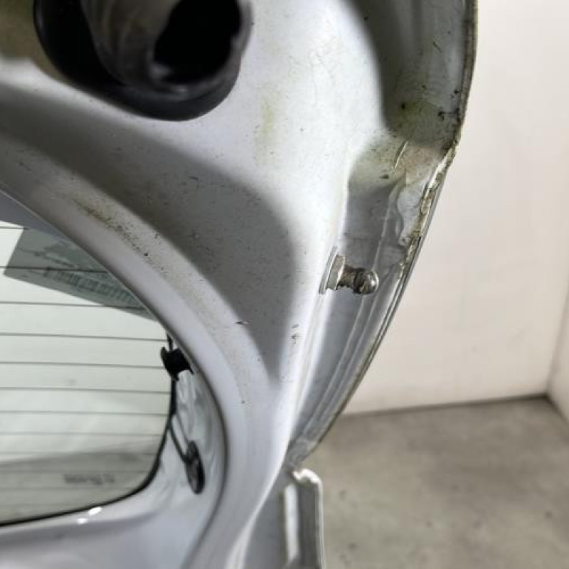 Malle/Hayon arriere DACIA SANDERO 2 Photo n°8