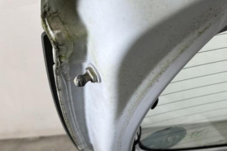 Malle/Hayon arriere DACIA SANDERO 2