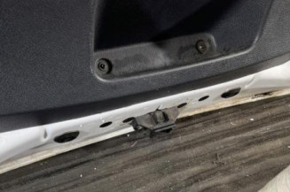 Malle/Hayon arriere DACIA SANDERO 2