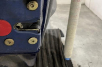 Porte arriere gauche RENAULT CLIO 2