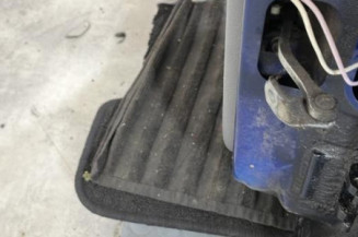 Porte arriere gauche RENAULT CLIO 2