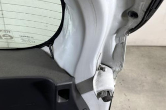 Malle/Hayon arriere RENAULT CLIO 4