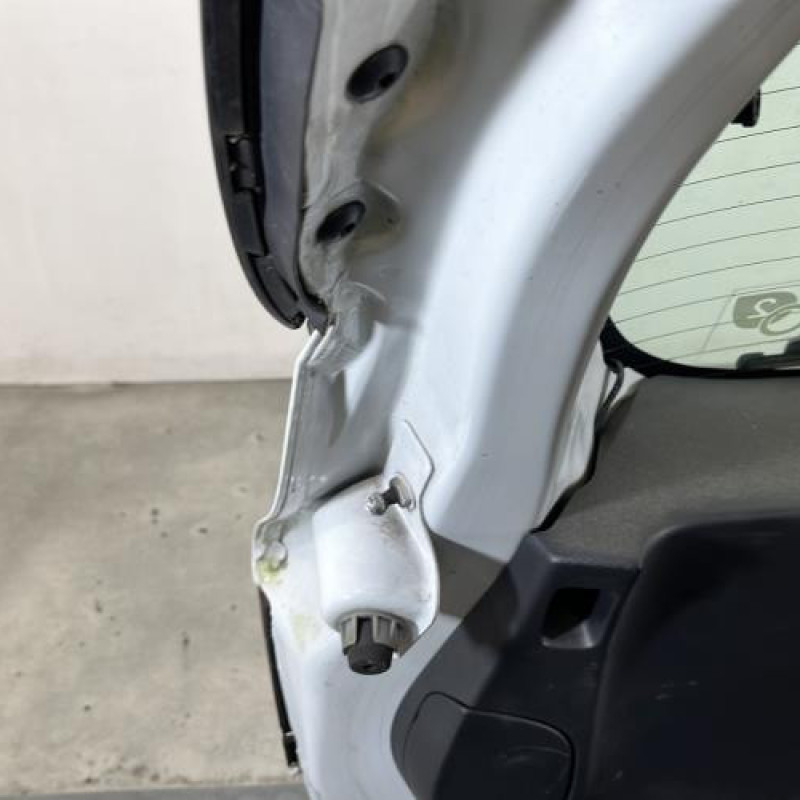 Malle/Hayon arriere RENAULT CLIO 4 Photo n°9