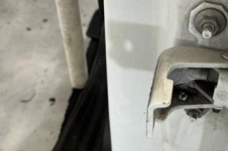 Porte arriere gauche RENAULT CLIO 4