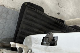 Porte arriere gauche RENAULT CLIO 4