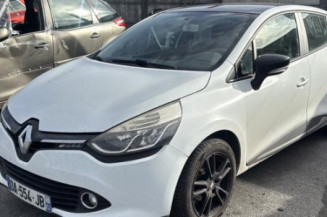 Porte arriere gauche RENAULT CLIO 4