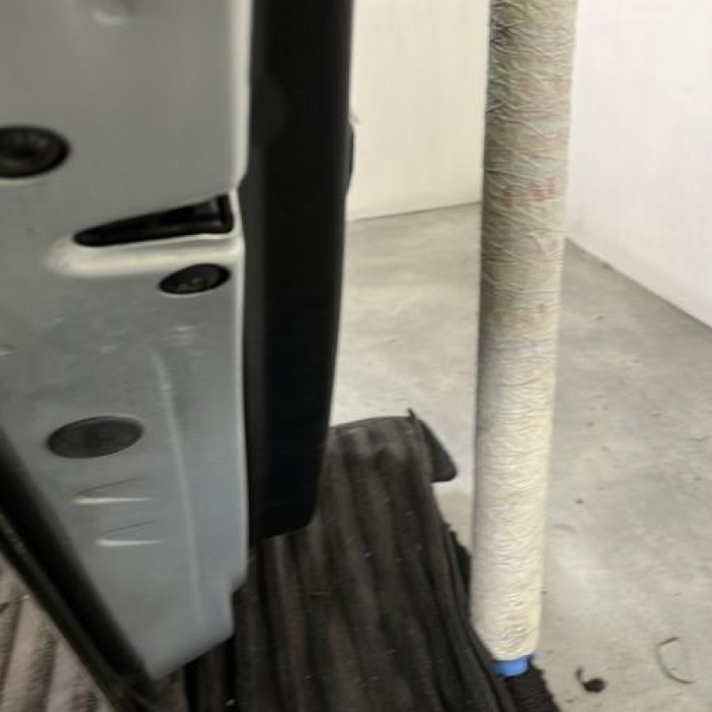 Porte arriere gauche VOLKSWAGEN GOLF 4 Photo n°3