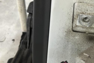 Porte arriere gauche VOLKSWAGEN GOLF 4