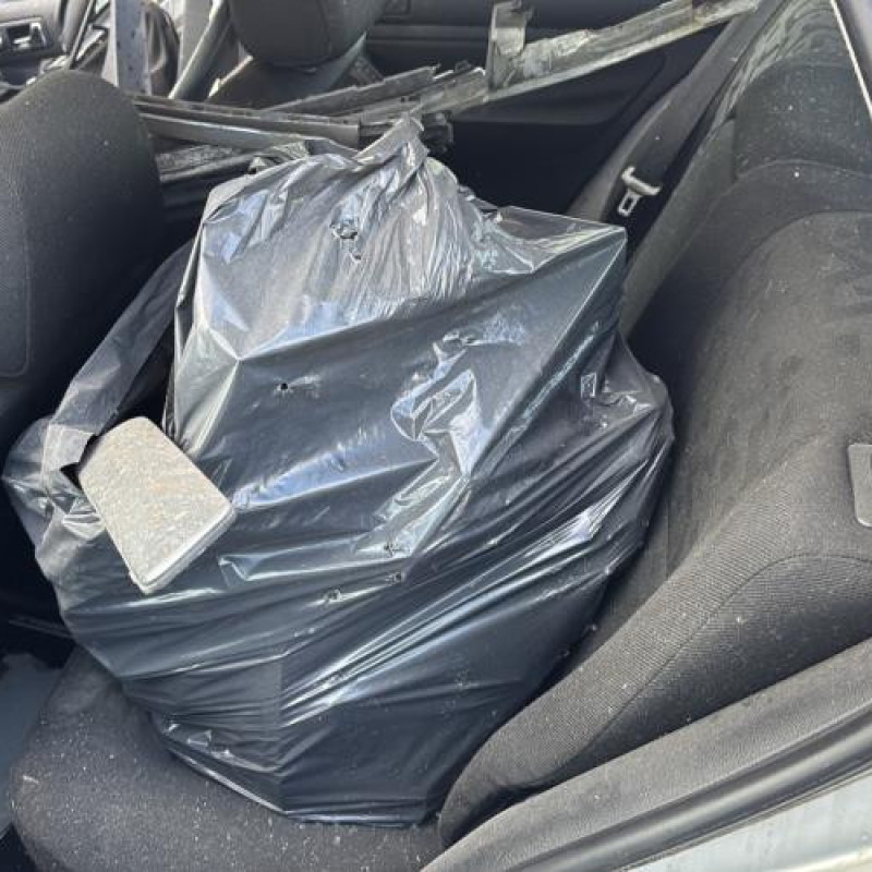 Porte arriere gauche VOLKSWAGEN GOLF 4 Photo n°17