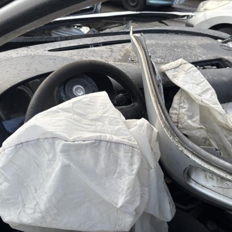 Porte arriere gauche VOLKSWAGEN GOLF 4 Photo n°18