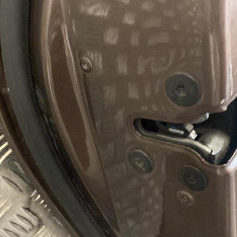 Porte arriere gauche RENAULT GRAND SCENIC 3 Photo n°3