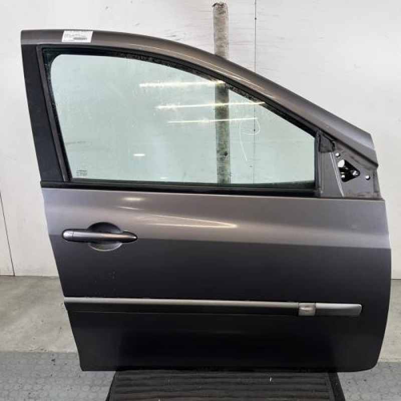 Porte avant droit RENAULT CLIO 3 Photo n°1