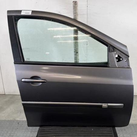 Porte avant droit RENAULT CLIO 3 Photo n°1
