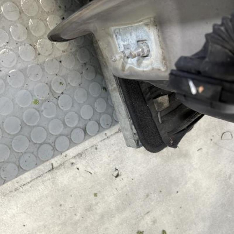 Porte avant droit RENAULT CLIO 3 Photo n°5