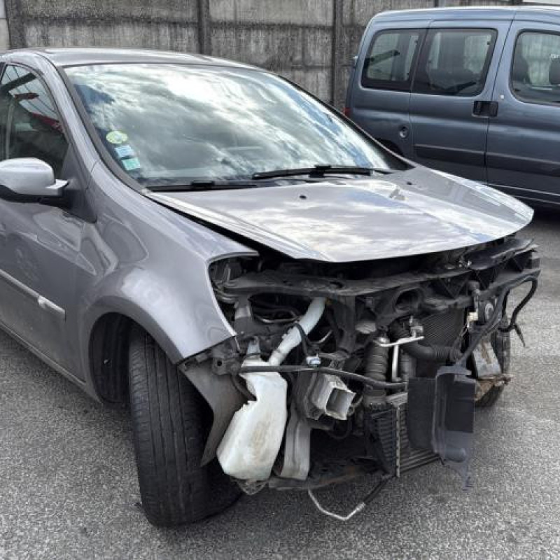 Porte avant droit RENAULT CLIO 3 Photo n°8