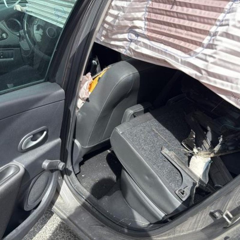 Porte avant droit RENAULT CLIO 3 Photo n°16