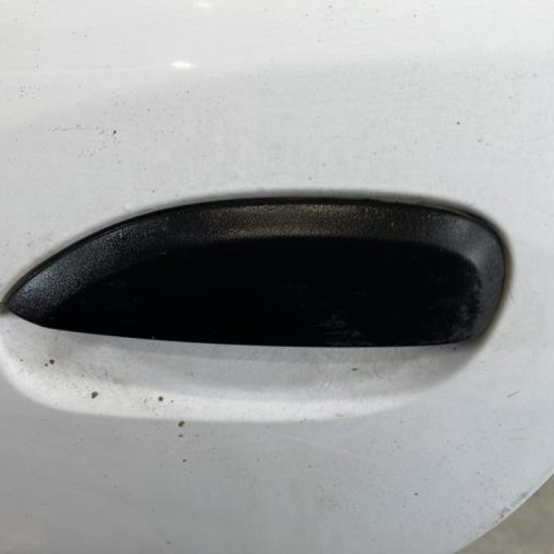 Porte arriere gauche DACIA SANDERO 2 Photo n°2