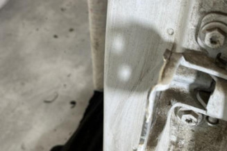 Porte arriere gauche DACIA SANDERO 2