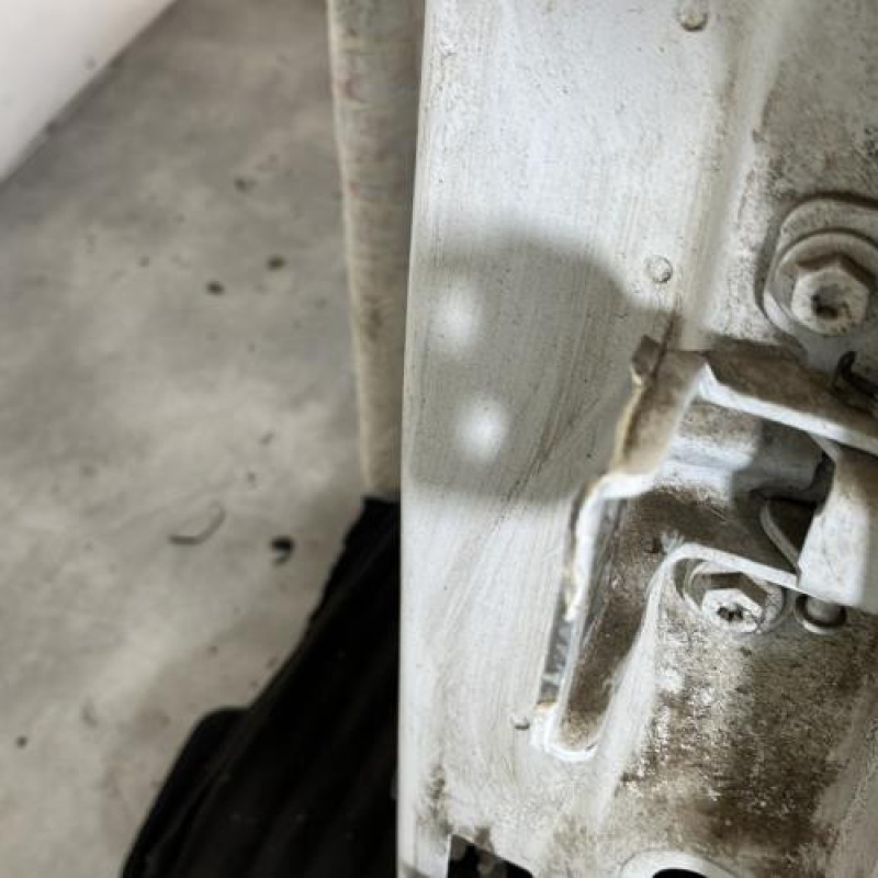 Porte arriere gauche DACIA SANDERO 2 Photo n°3