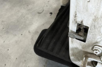 Porte arriere gauche DACIA SANDERO 2