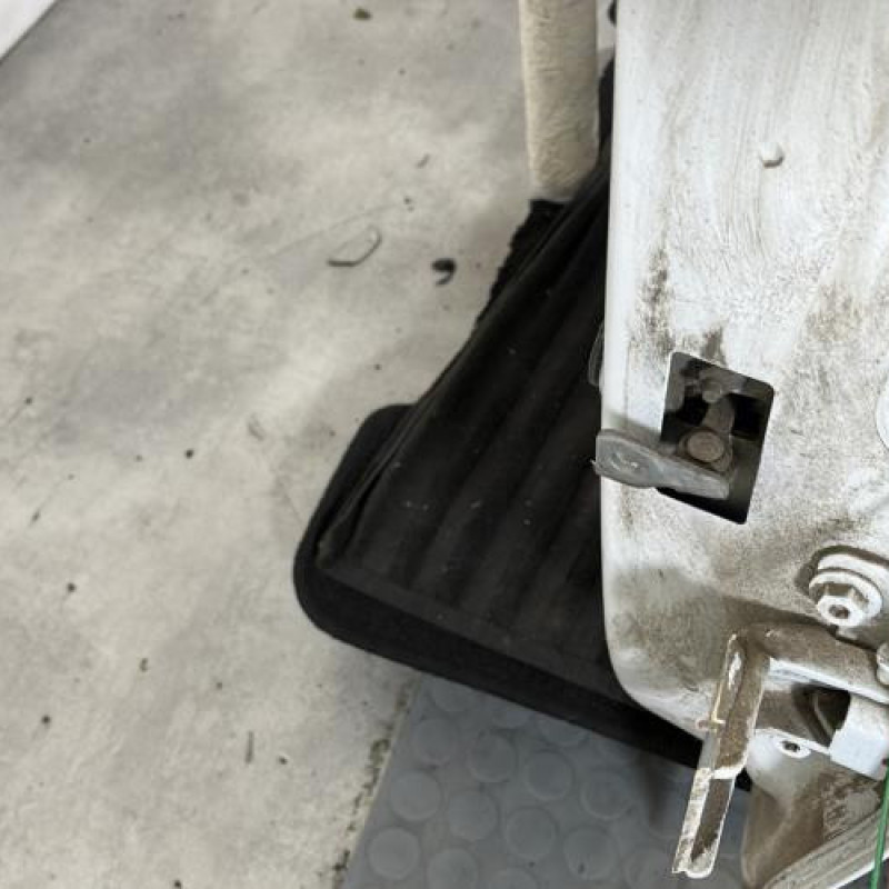 Porte arriere gauche DACIA SANDERO 2 Photo n°4