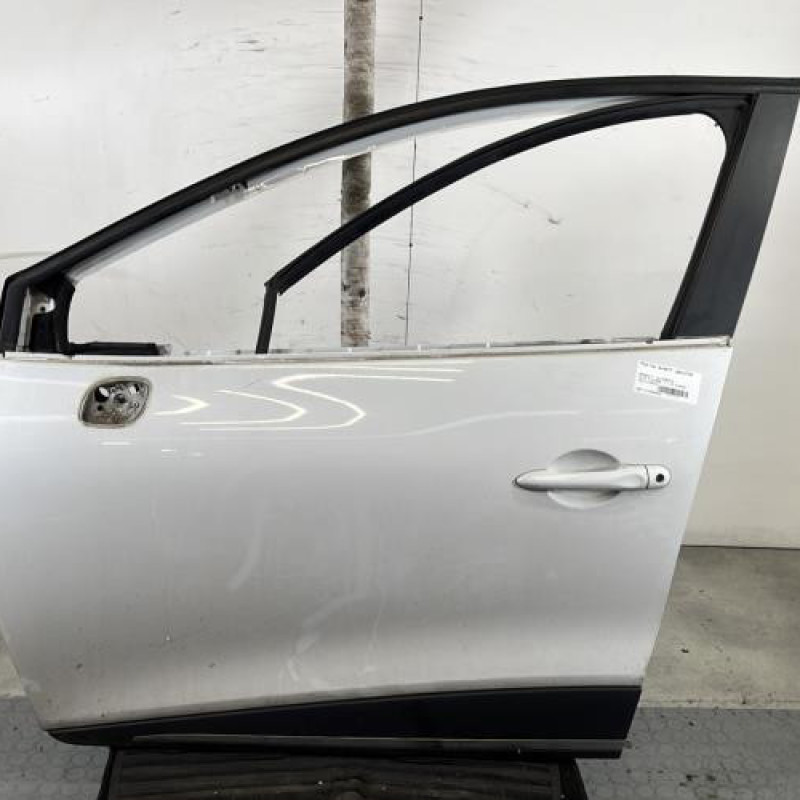 Porte avant gauche RENAULT CLIO 4 Photo n°1