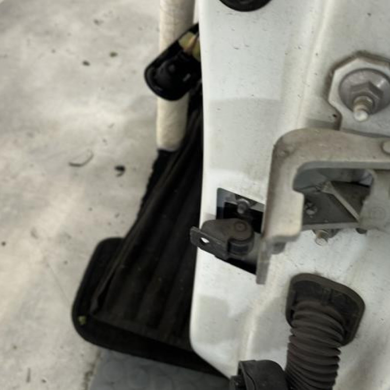 Porte avant gauche RENAULT CLIO 4 Photo n°4