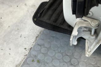 Porte avant gauche RENAULT CLIO 4