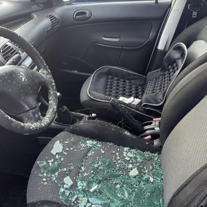 Moto ventilateur radiateur PEUGEOT 206 Photo n°13