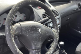 Vase de lave glace PEUGEOT 206