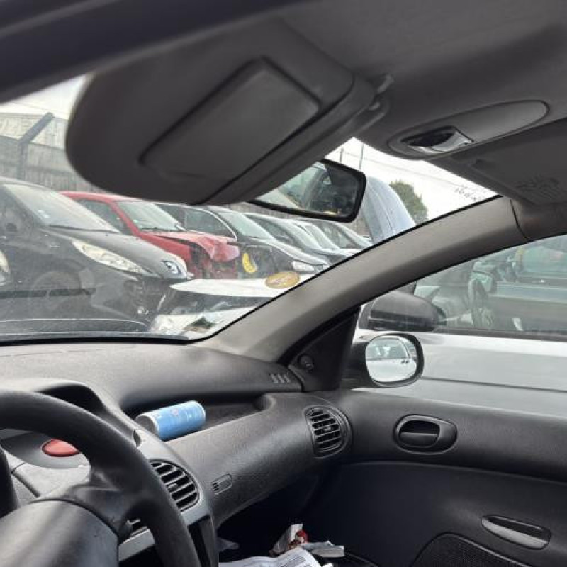 Baguette de porte avant droite PEUGEOT 206 Photo n°17