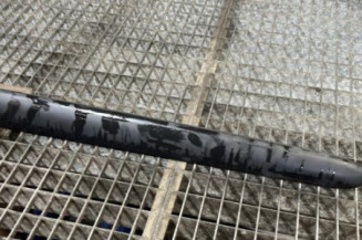 Baguette de porte avant gauche PEUGEOT 206