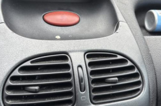 Baguette de porte avant gauche PEUGEOT 206