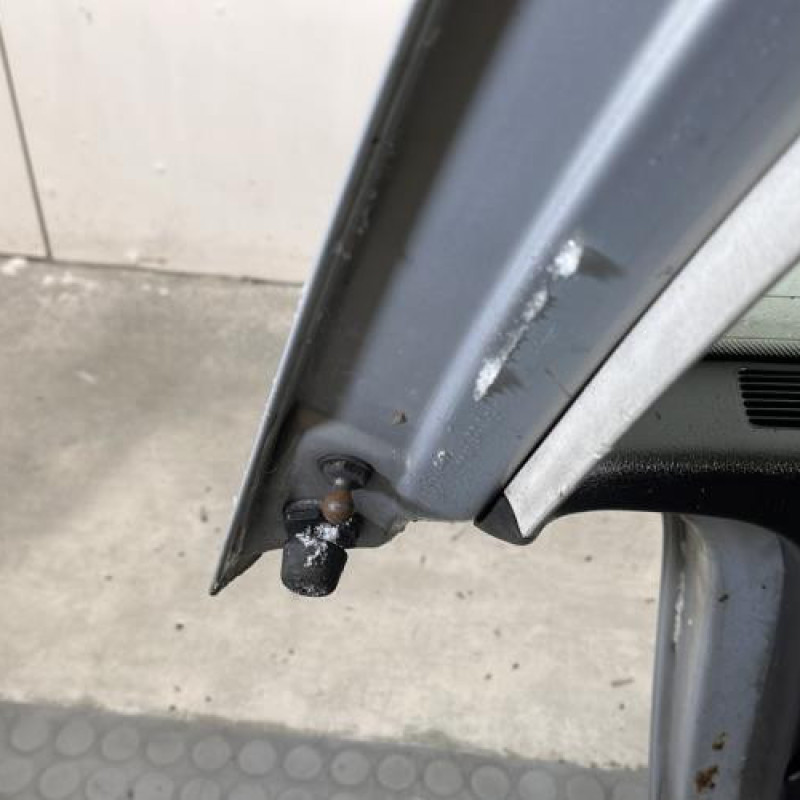 Malle/Hayon arriere VOLKSWAGEN GOLF 4 Photo n°10