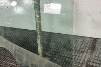 Vitre arriere droit RENAULT CLIO 4