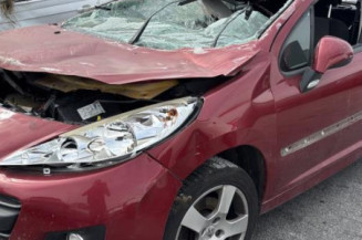 Feu arriere principal gauche (feux) PEUGEOT 207