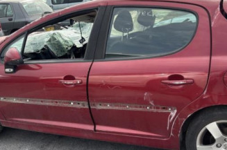 Feu arriere principal gauche (feux) PEUGEOT 207