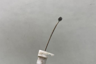 Serrure avant gauche PEUGEOT 407