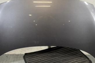 Capot RENAULT SCENIC 3 Photo n°1