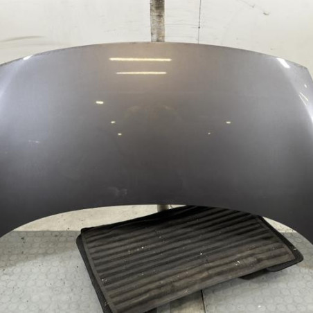 Capot RENAULT SCENIC 3 Photo n°1