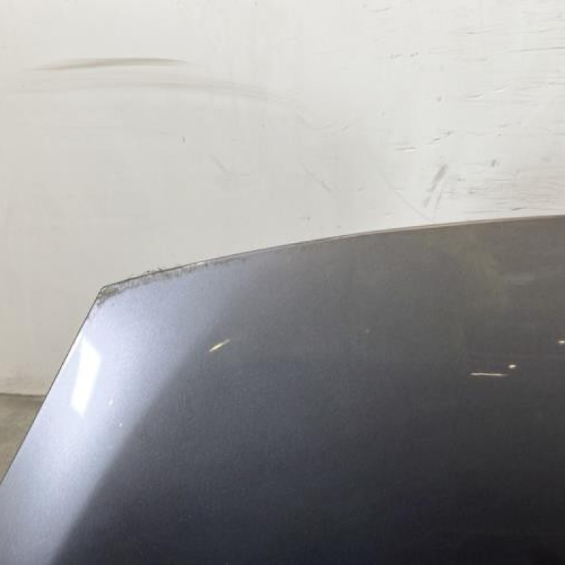 Capot RENAULT SCENIC 3 Photo n°2