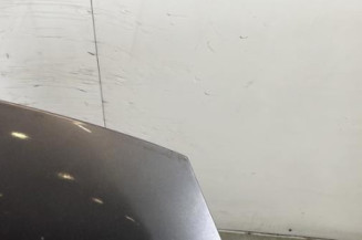 Capot RENAULT SCENIC 3